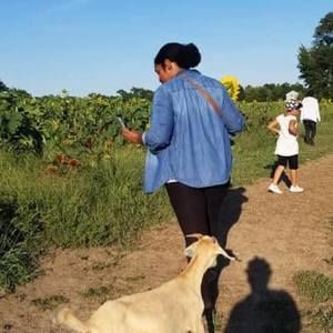 Meet your Posher, Taylor